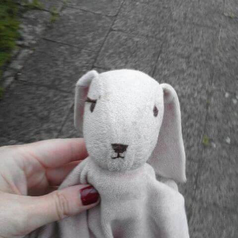 sabrientje79's tweet photo. @atvbe konijntje zoekt haar vriendje terug. Gisteren gevonden bij halte tram 6 aan luchtbal. https://t.co/hnEqHKQv5h