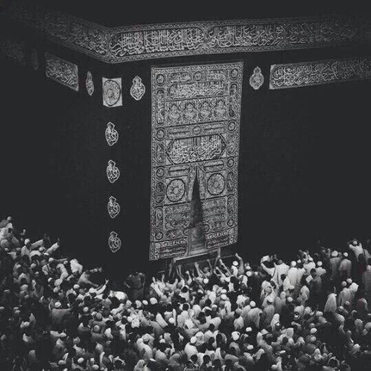 ‏مُ tweet media