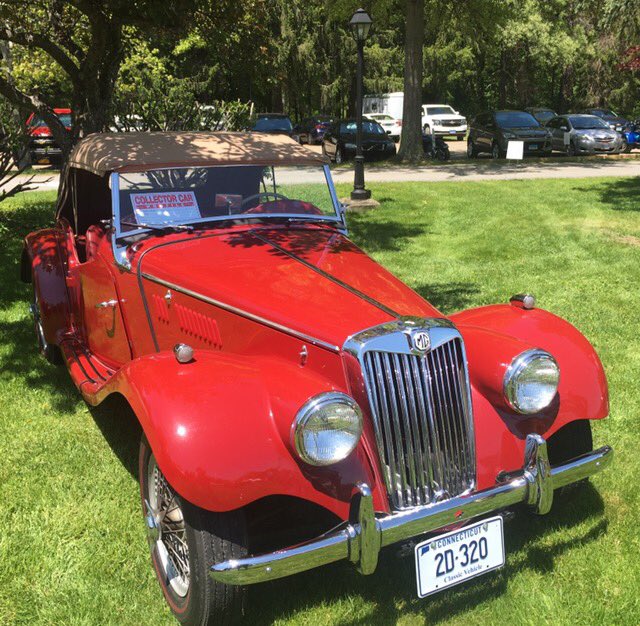 sherryrshoblom's tweet image. Beauty.