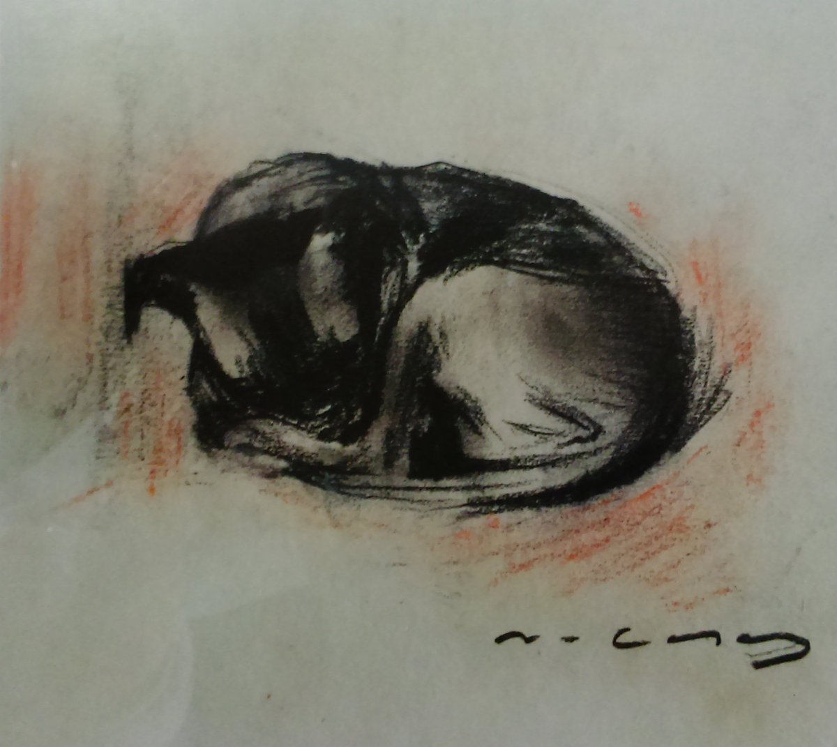 Círculo del Liceo tweet media