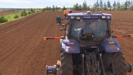 P.E.I. growing one quarter of Canada's potatoes ift.tt/2tMRRBP #pei