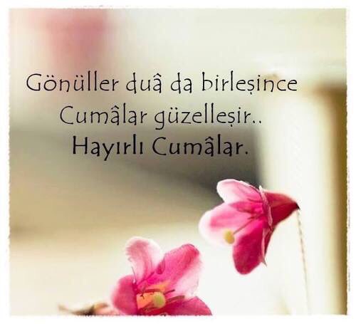 Kahtan Vendavi (@kahtanvendavi) on Twitter photo 