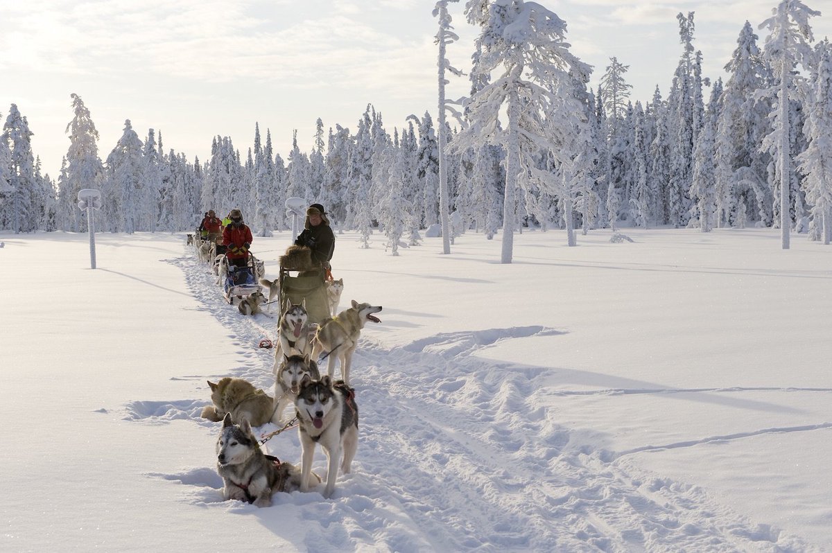 lunezero's tweet photo. 9 cool reasons to visit #Finland in 2017: https://t.co/LuSfgg1SfU #SilverKris @OurFinland https://t.co/POXkEV0gwW