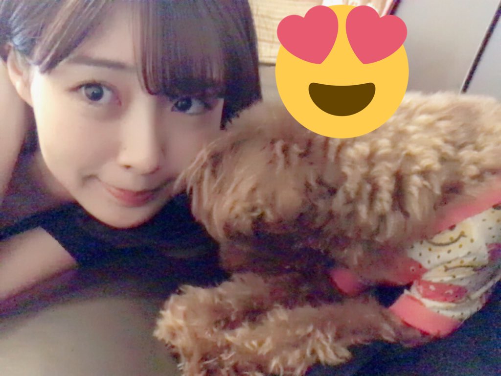 新川夢愛 レジェンド בטוויטר 可愛いです 新川夢愛 レジェンド בטוויטר 可愛いです