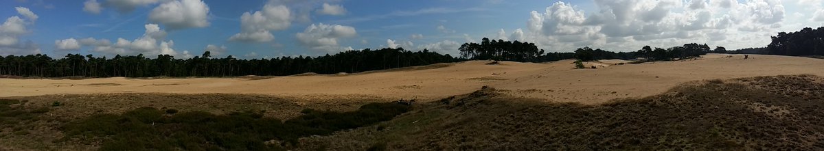 Nog even een prachtig plaatje voor het weekend #Wekeromsezand