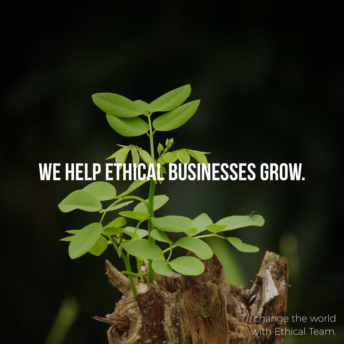 EthicalTeam's tweet image. Need help to change the world as the next game-changer brand? Discover how effective PR can transform your business. E: iain@ethicalteam.com