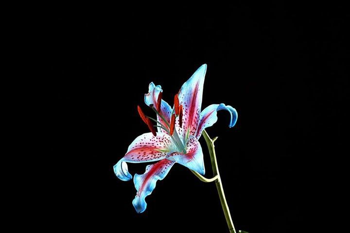 alansillphoto's tweet photo. "From Zero to Hero" two of the photographs from this week's beginners photography summer workshop @SunCollArts @sunderlandcol https://t.co/bjZBCvCuV0