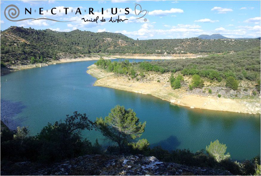 Miel Nectarius tweet media