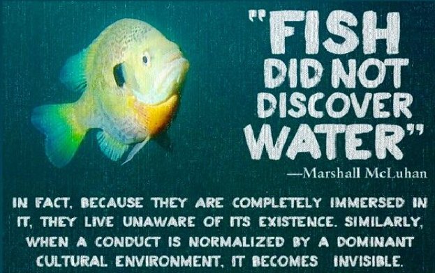 WittyShow tweet media