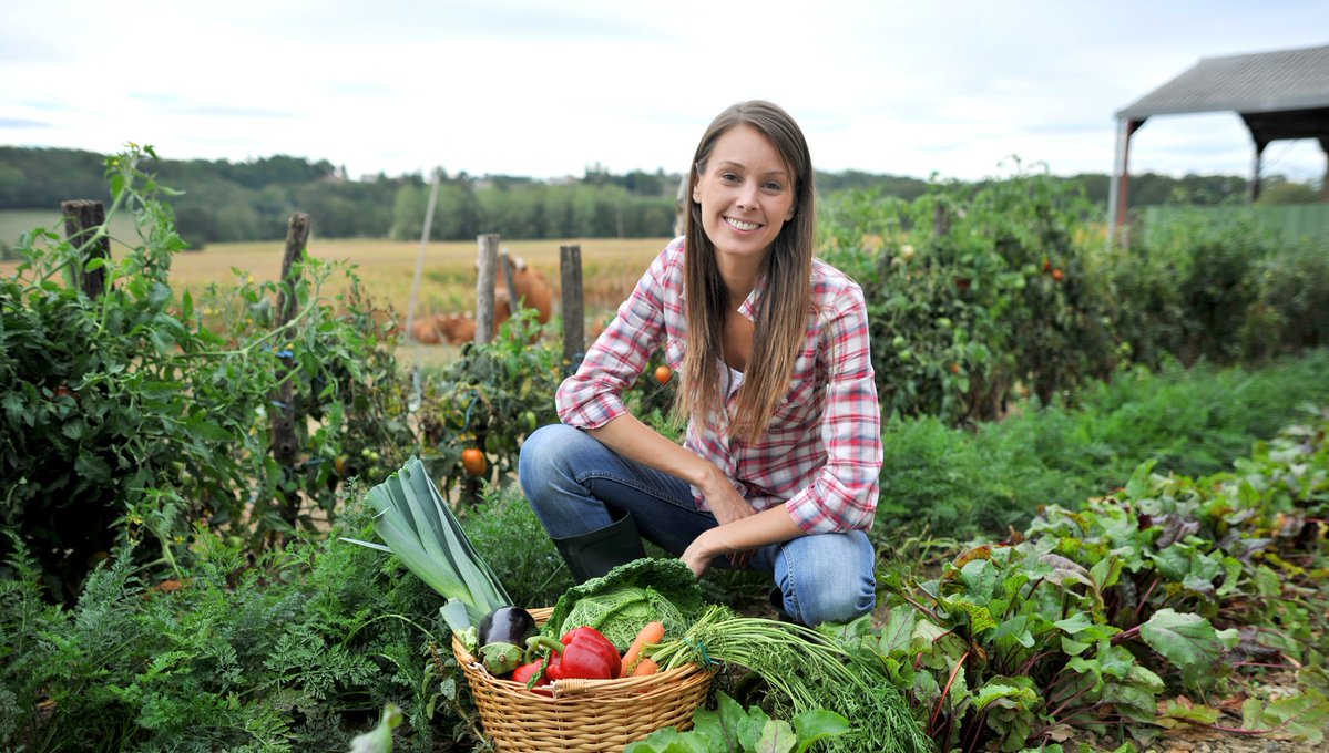 AgriCultrera's tweet photo. #Imprenditoriafemminile in #agricoltura. Ecco il bando del Premio nazionale De@ Terra ➡ https://t.co/1bQPrPwfY3 @MipaafSocial #donneincampo🌱 https://t.co/2hw3ZXSXyE