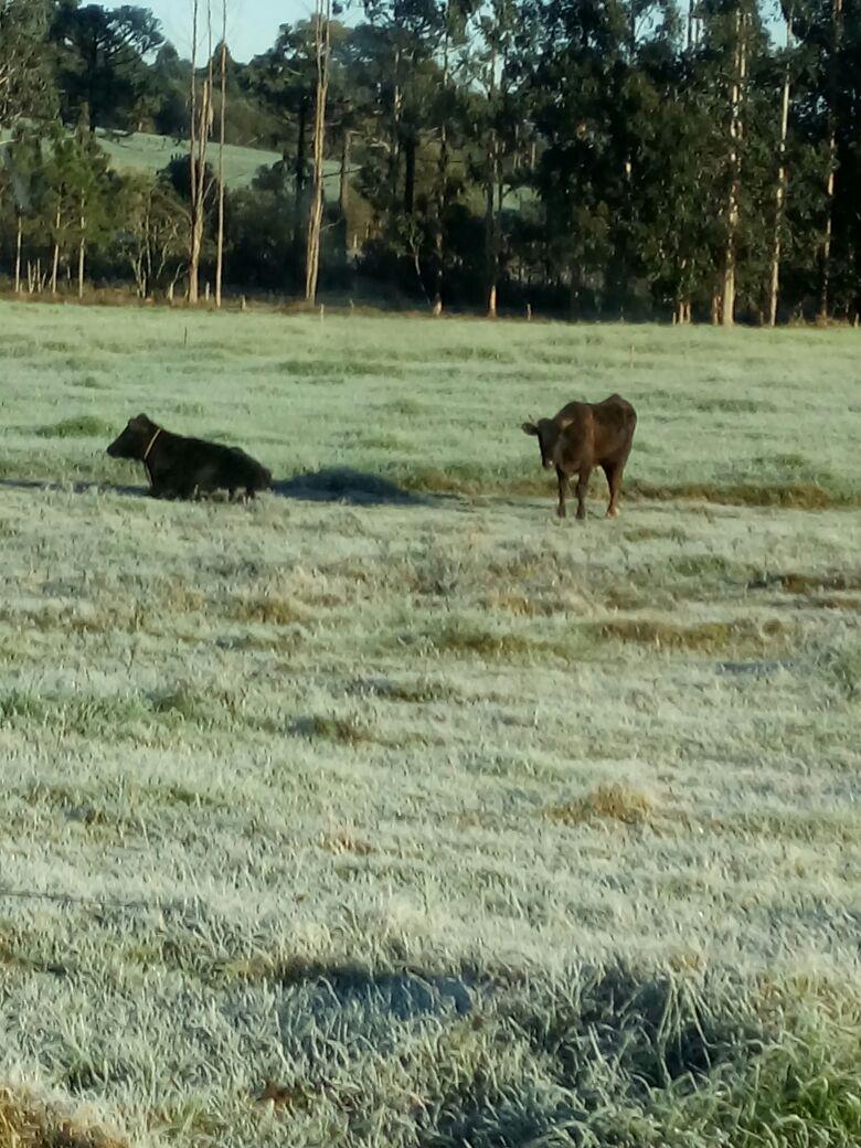 dankack's tweet image. Enquanto os paciente não vem, resolvi vim trocar umas ideia com os habitantes locais.