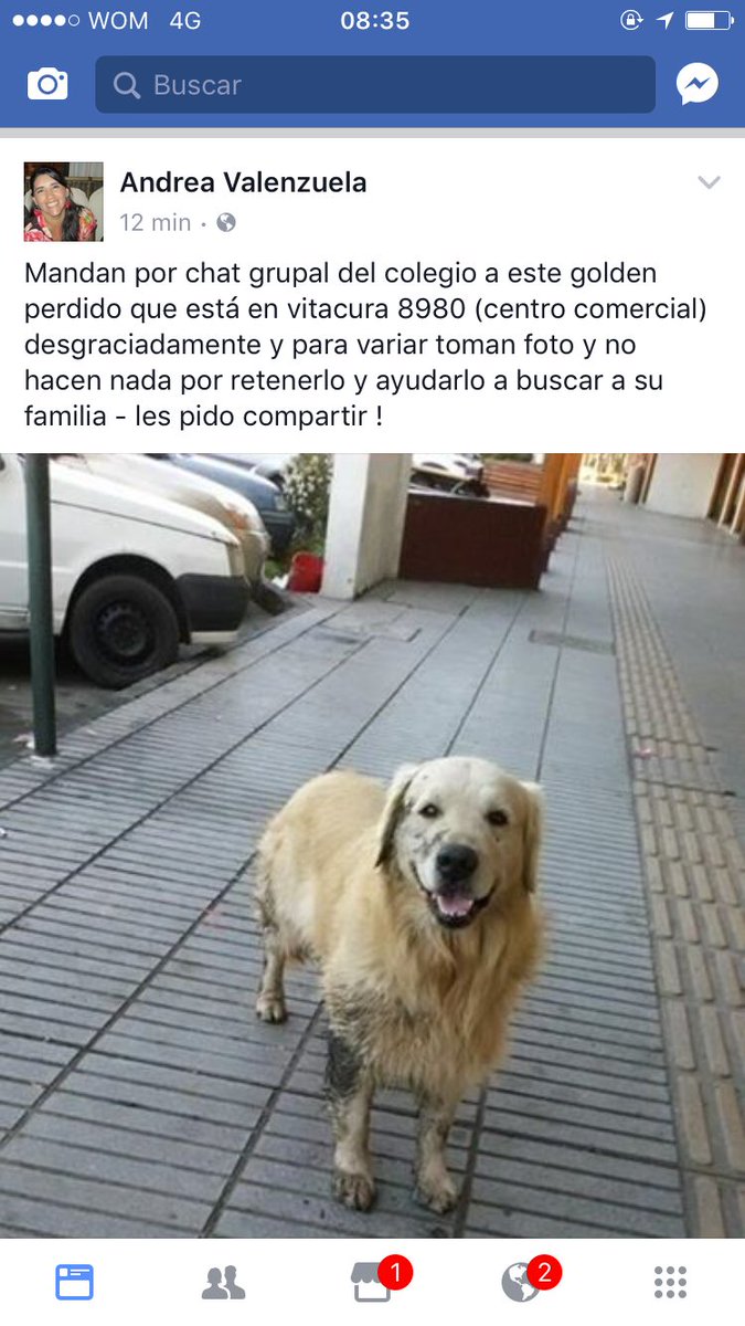 VITACURA! Perrito Golden busca a sus dueños, favor RT <a href="/TonkaTP/">Tonka Tomicic</a>