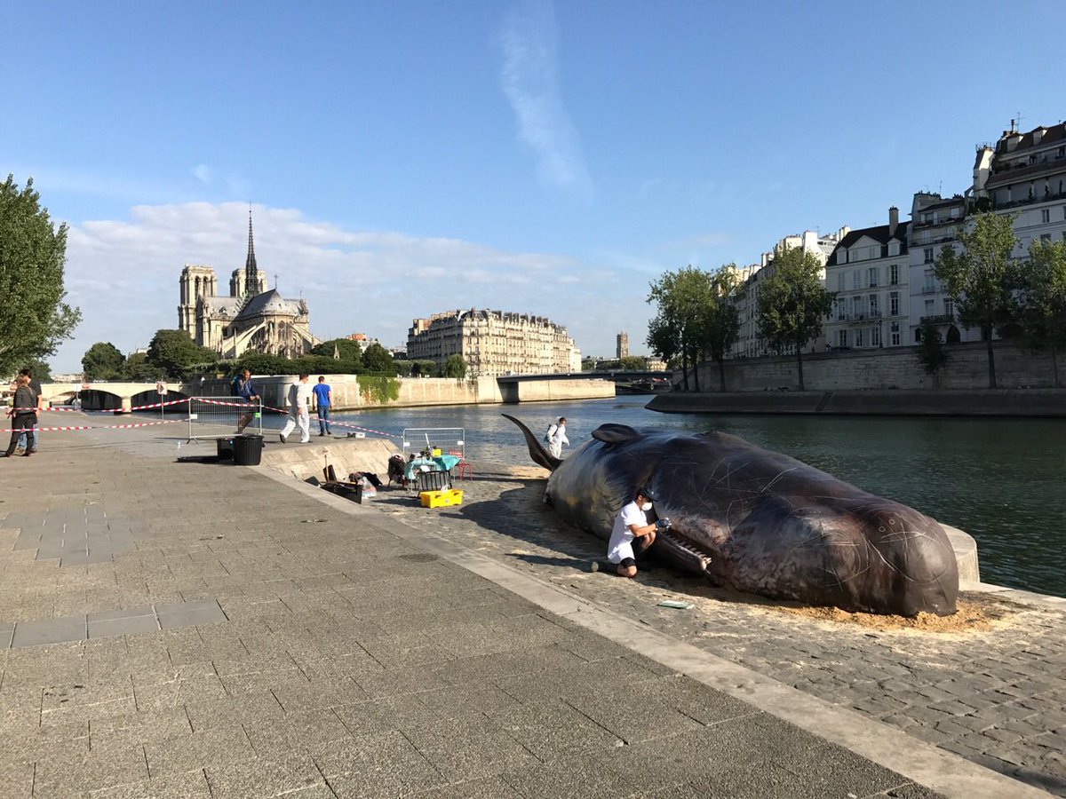 La Tour d'Argent Paris tweet media