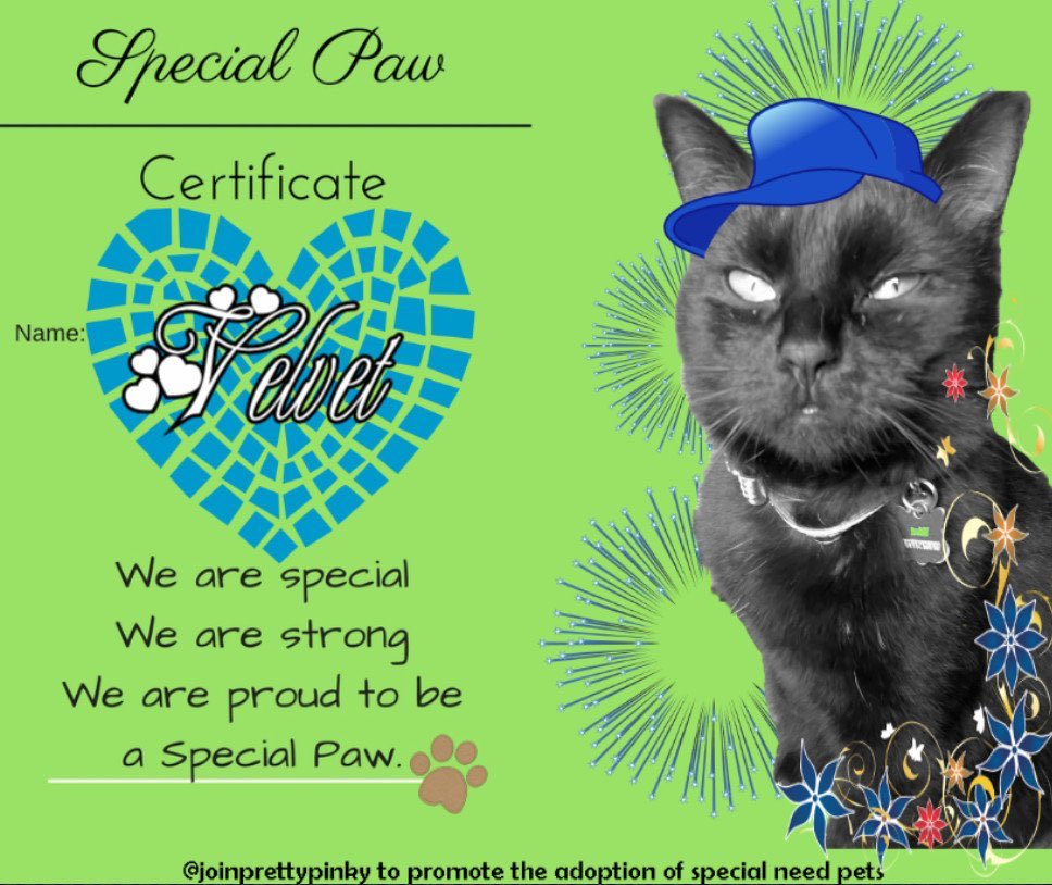 Velvet and skittles tweet media