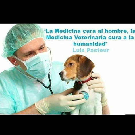 Agro_Marin's tweet photo. https://t.co/fzia3um115