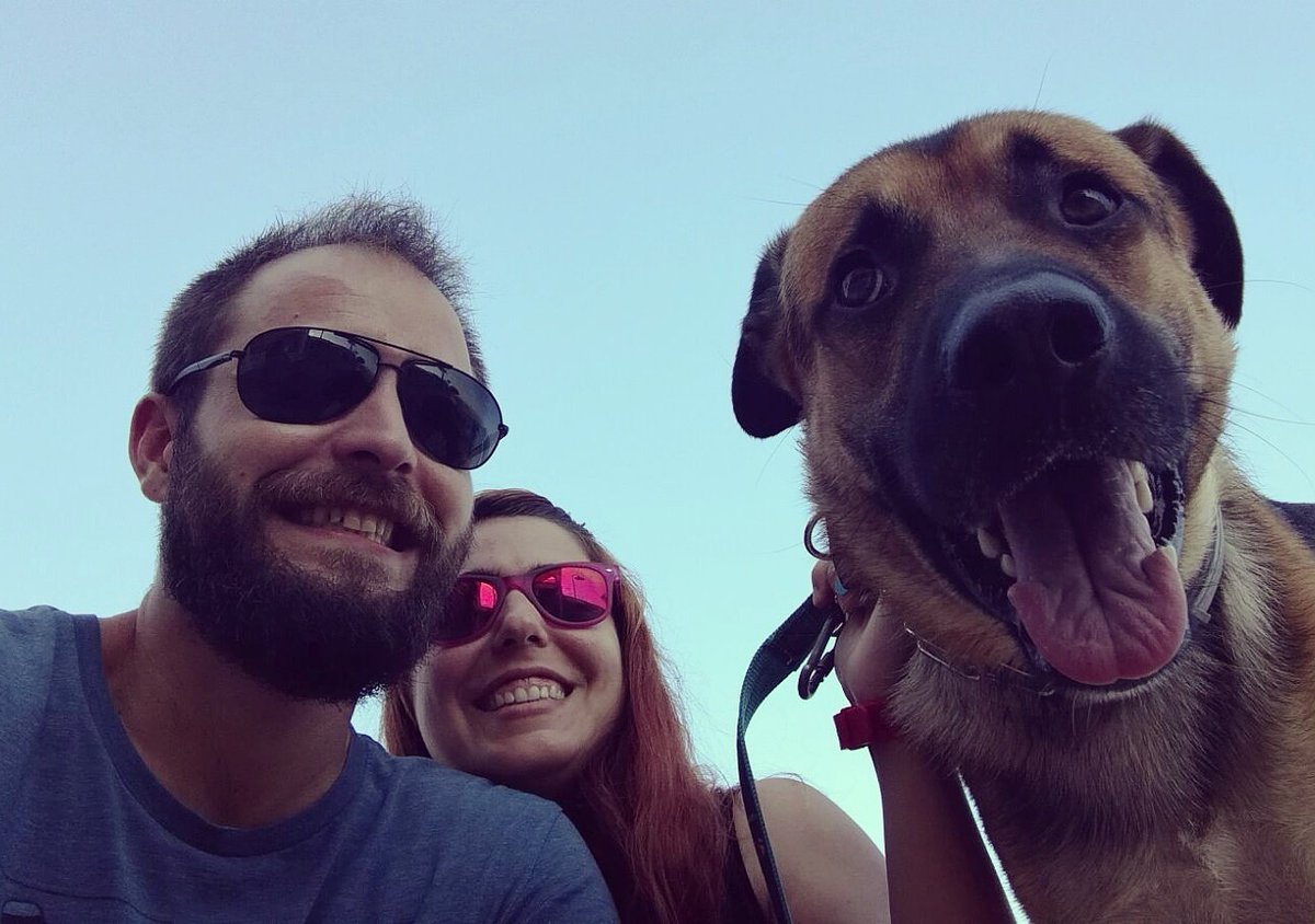 M_de_Marisa's tweet photo. #DíaMundialDelPerro https://t.co/OwdDPVRuW8