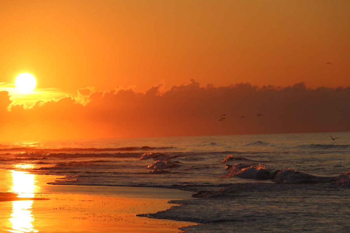 TheBikerPastor's tweet photo. Another Beautiful sunrise on the beach. #LovingLife #MoreTime4What https://t.co/c6pl3beSyJ
