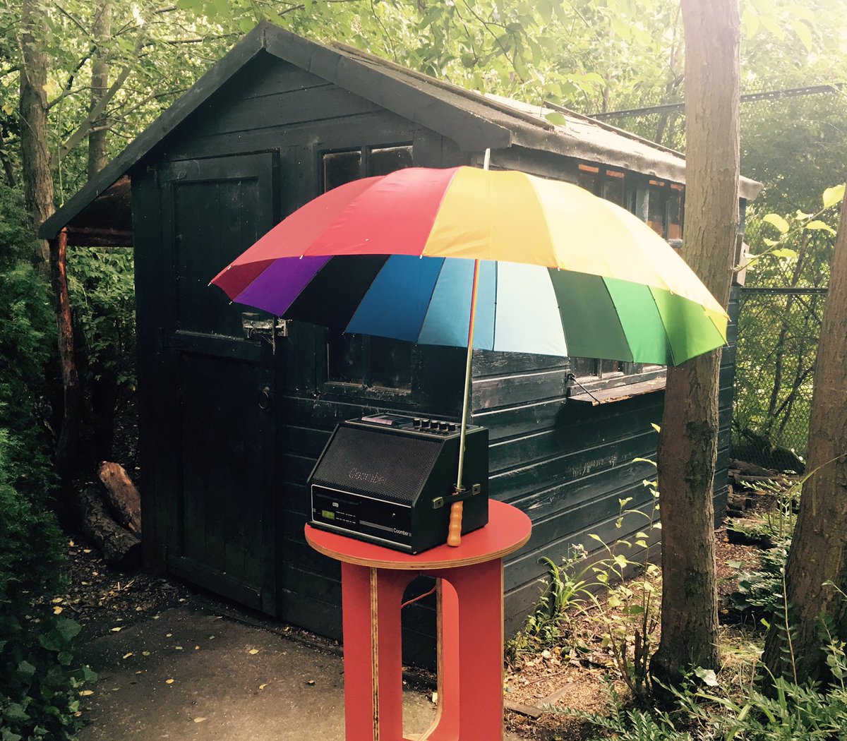 Saz_Johnstone's tweet photo. Friday afternoons = Friday Shediocast in the @Hidden_Gardens so it was a bit of #bjork for lunch today - nice! https://t.co/xWU1KjZrgQ