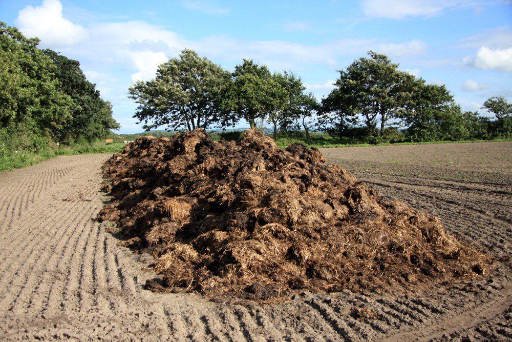 CleanerMDfarms's tweet photo. Reducing pollution from excess manure is critical to cleaning up local waterways and the #chesbay https://t.co/gwoIPt2ZkI #lessmanure https://t.co/SCuQqxywK4