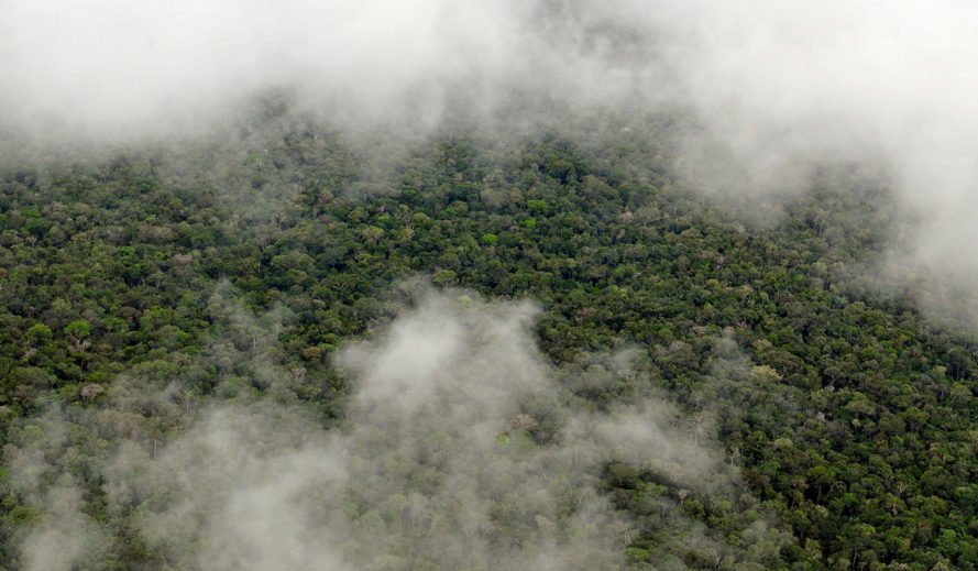Scientists discover the #Amazon #forest sets off its own rainy season

bit.ly/2uIIYgL