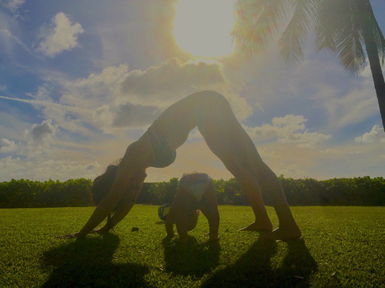 Yoga HouseBenicia (yogahouseco) Twitter