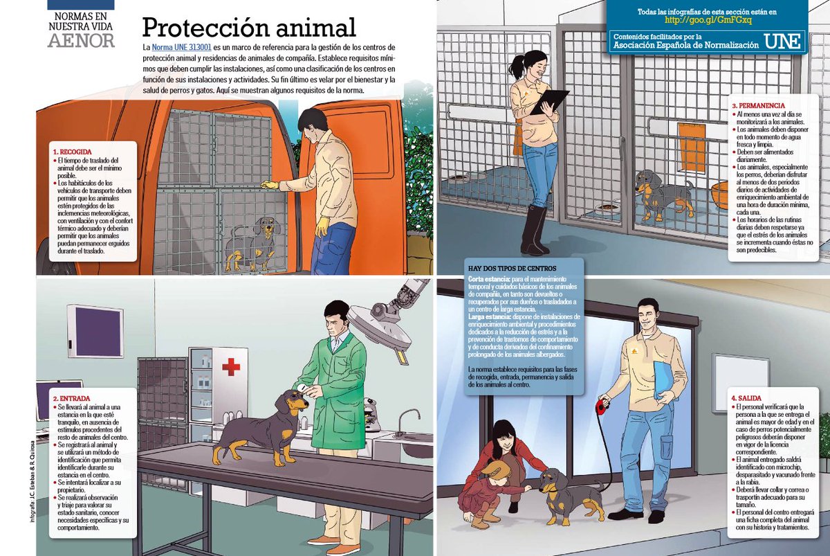 NormasUNE's tweet photo. En el #DíaMundialDelPerro la norma #UNE313001 vela por su bienestar y salud en centros y residencias https://t.co/M9dyzyleAl #CTN313 https://t.co/hnetPpNnuK