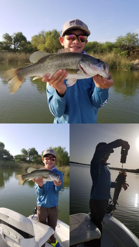 JoyceNeira1's tweet photo. Catch and release 2.5lb large mouth bass. #futureproangler #largemouthbass #bassfishing https://t.co/GB8EWbds38