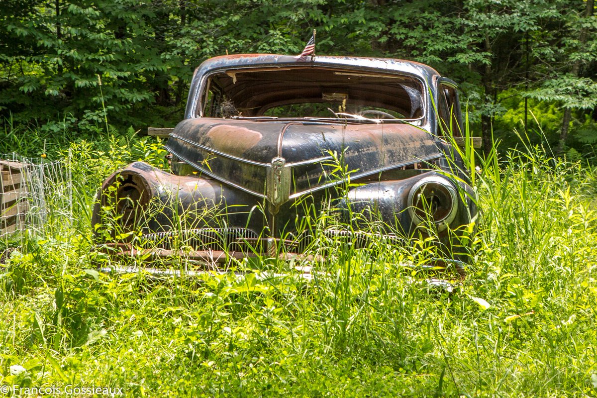 LocalCaptures's tweet photo. Go out and shoot, you never know what you might find. #500pxrtg #Stormhour #togtweeter #bbclocalite #PintoFotografia #ThePhotoHour #thisisvt https://t.co/EwD9XUTLzy