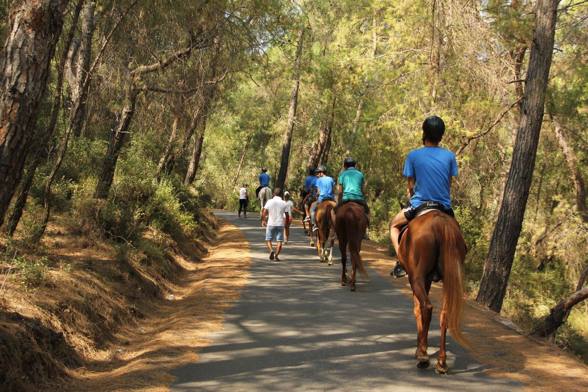 Mutluluğun sırrı; öğrenmek, paylaşmak, hayal etmek...
Kamplarımızda mutluluğun rengi Mavi- Yeşil 🚣🌳