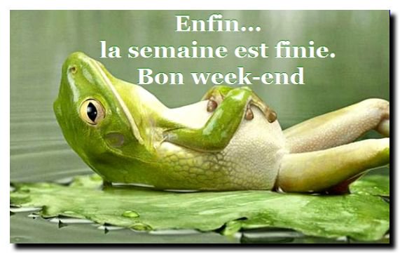JusteGuinet's tweet image. BON DÉBUT DE WEEKEND A TOUS 😇😇