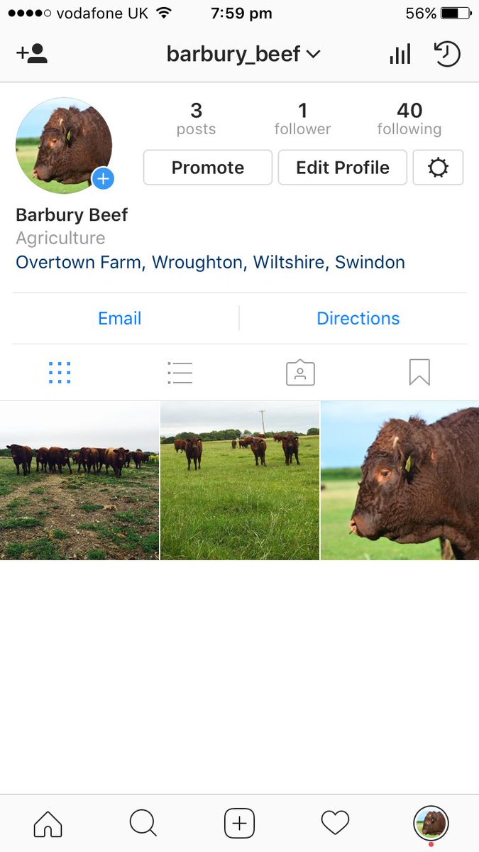 BarburyBeef's tweet photo. We're also on Instagram! https://t.co/QUrgWil0JQ