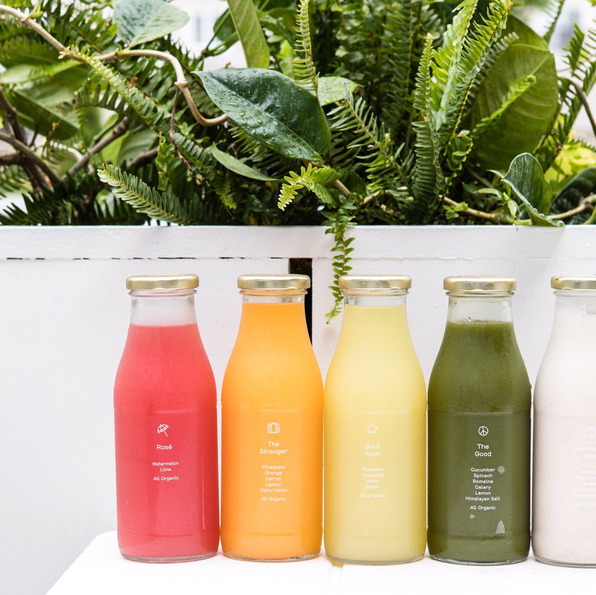 GHJuiceCo tweet picture