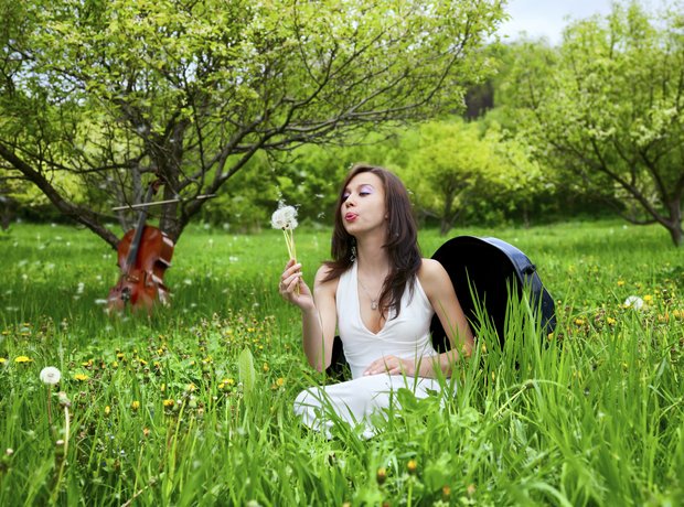 lauritzen_brian's tweet photo. When the tree plays Popper Etudes better than you so you decide to sit in a field and blow dandelions for tips. #CelloProblems https://t.co/zgWYUak5Ps