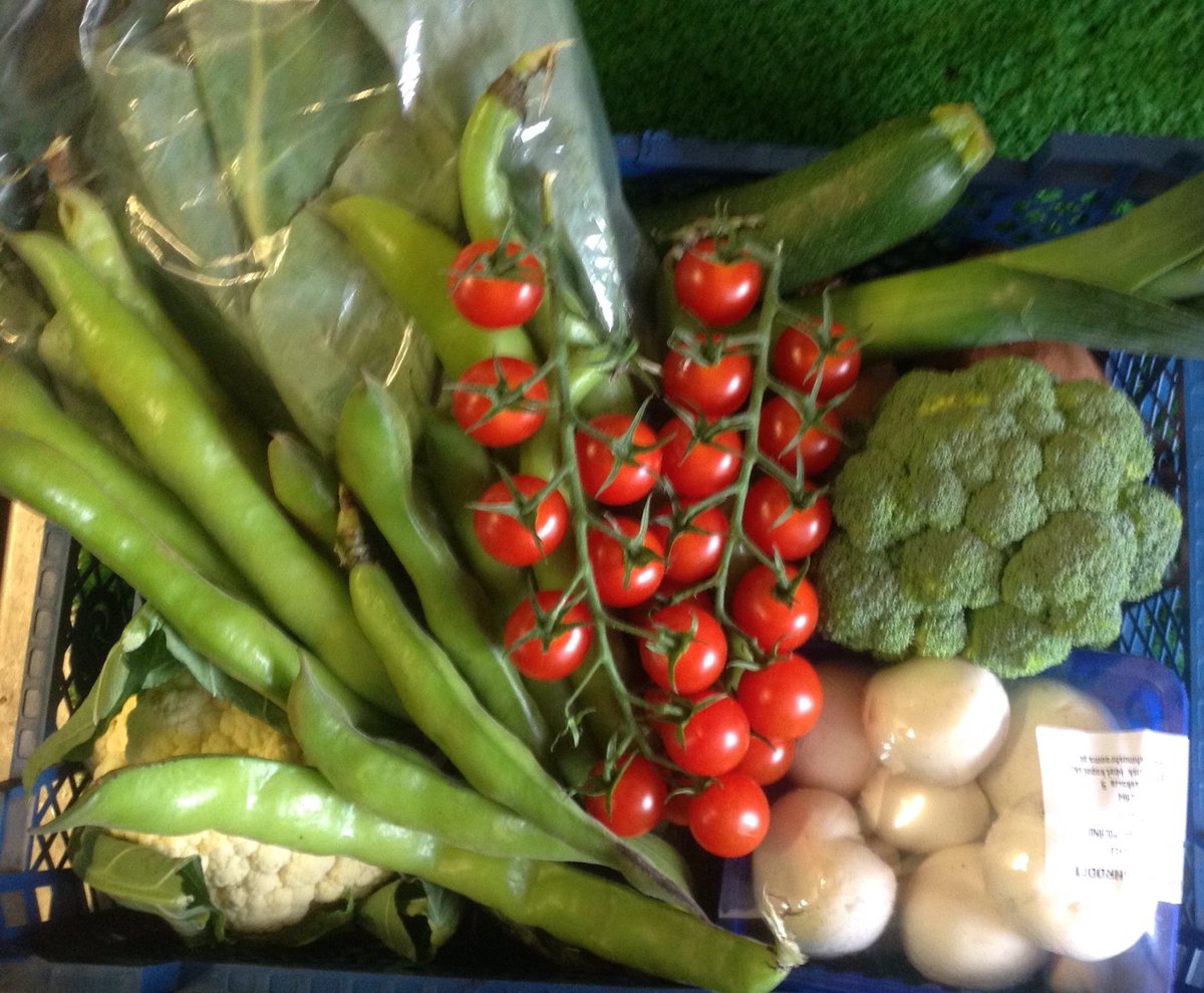 mayfieldlocal tweet picture