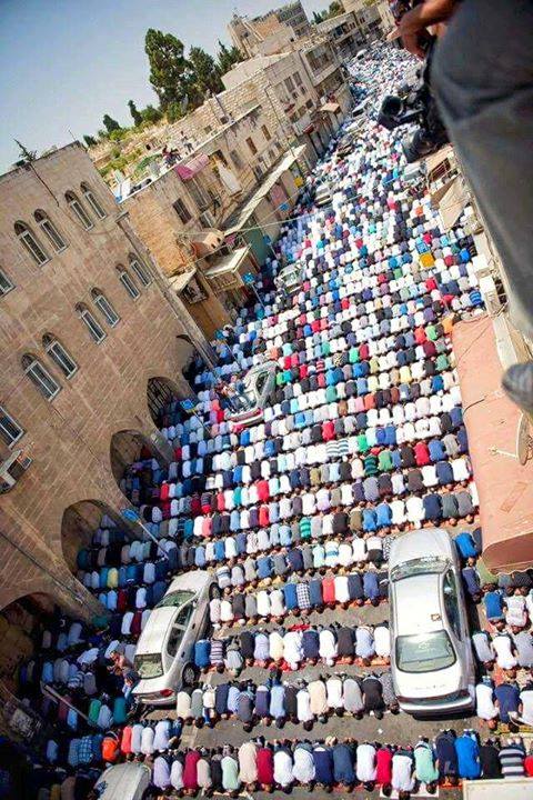 jvplive's tweet photo. Prayer as protest such a powerful image from https://t.co/uxXGVQS4ji today. https://t.co/SV3my5TSZC