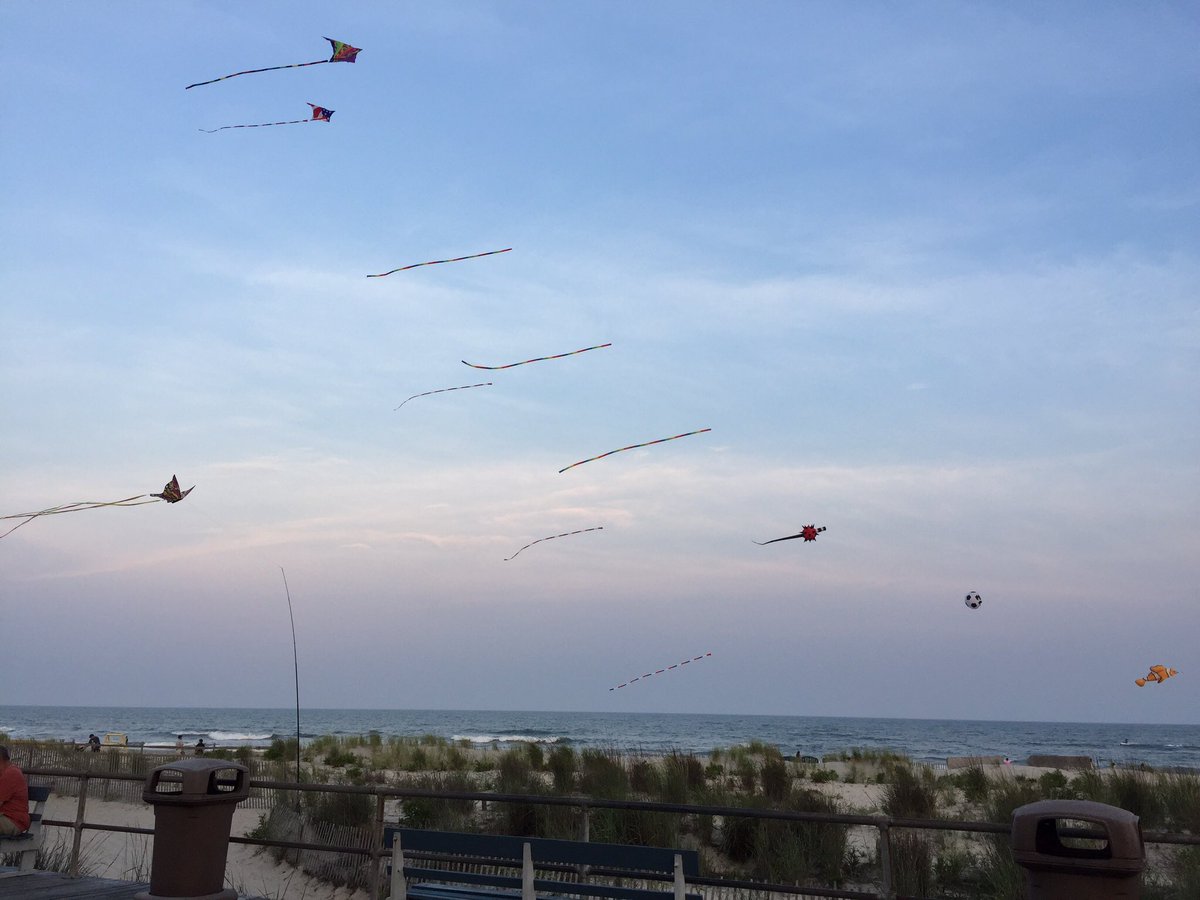 Air Circus Kite Shop tweet media
