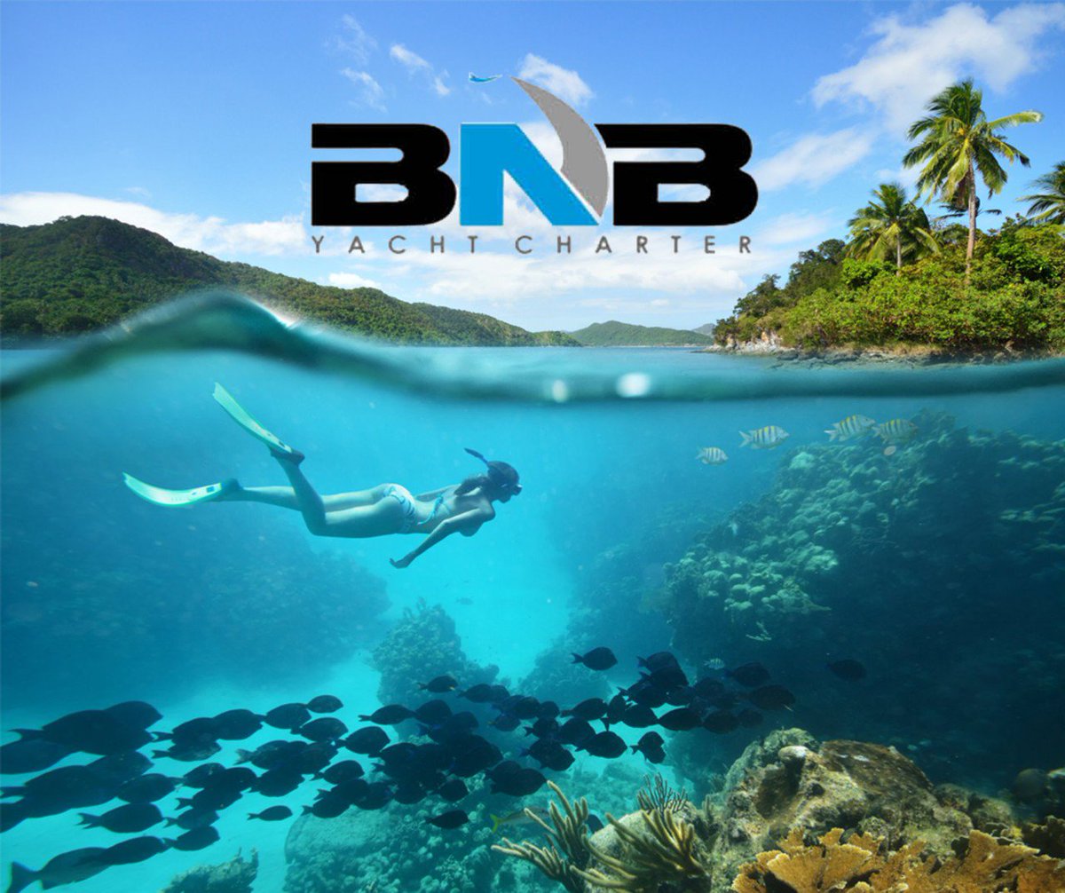 bnb_yacht's tweet photo. Our experts want you to have the best trip. Call us for #yacht #charter rates 786-286-5006 https://t.co/qm06JRr5ii https://t.co/mBdMJSFyir
