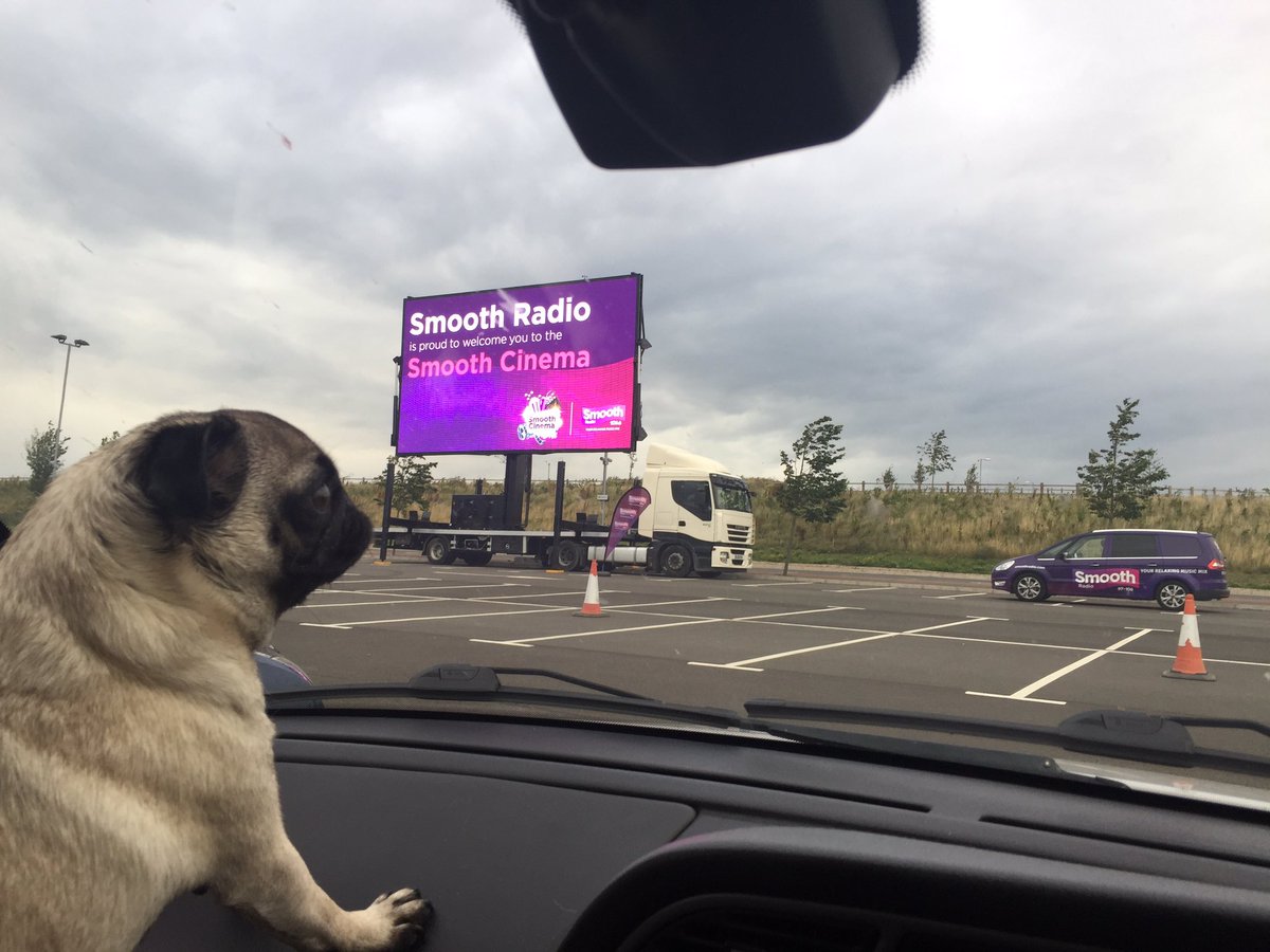 GarrickLeslie's tweet photo. @smootheastmids Puggo waiting for Dirty Dancing #SmoothCinema #SheAskedToCome https://t.co/r4HSU6VI7p
