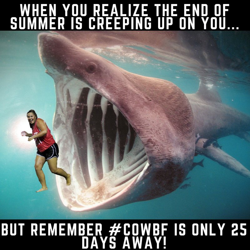 COmurraystate's tweet photo. #COWBF will once again be on the first day of school, August 15th! https://t.co/MSZl1G0E6j