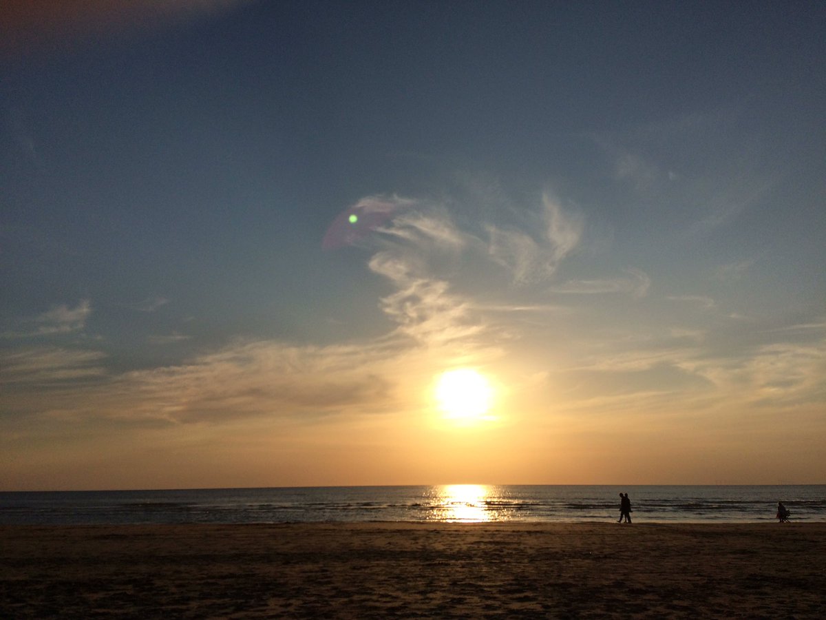 Jennifer Punt tweet media