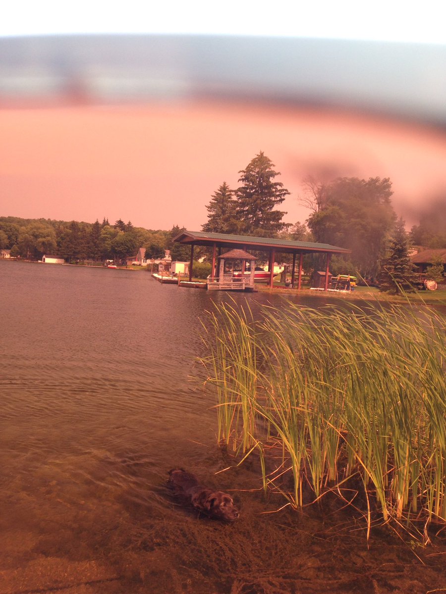 Brook says come for a swim! #Alohafriday <a href="/OfficialMauiJim/">Official Maui Jim</a> #lakeontario #mauifilter #mauijim #roadtrip