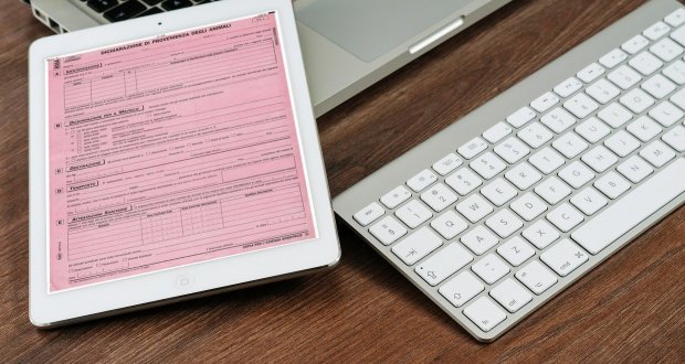 Consulenza_Agr's tweet photo. #Modello4 #elettronico: è prevista una #nuova #proroga per gli #allevatori?https://t.co/SIW2RlxJGG https://t.co/1MfE5rzPRc
