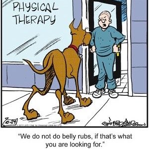 SimulHealth's tweet photo. Does #MassageTherapy help patients with #osteoarthritis? #GetPT1st #ChoosePT #progressiveexercise #Movementtraining #pthumor https://t.co/BPYNikiBAY