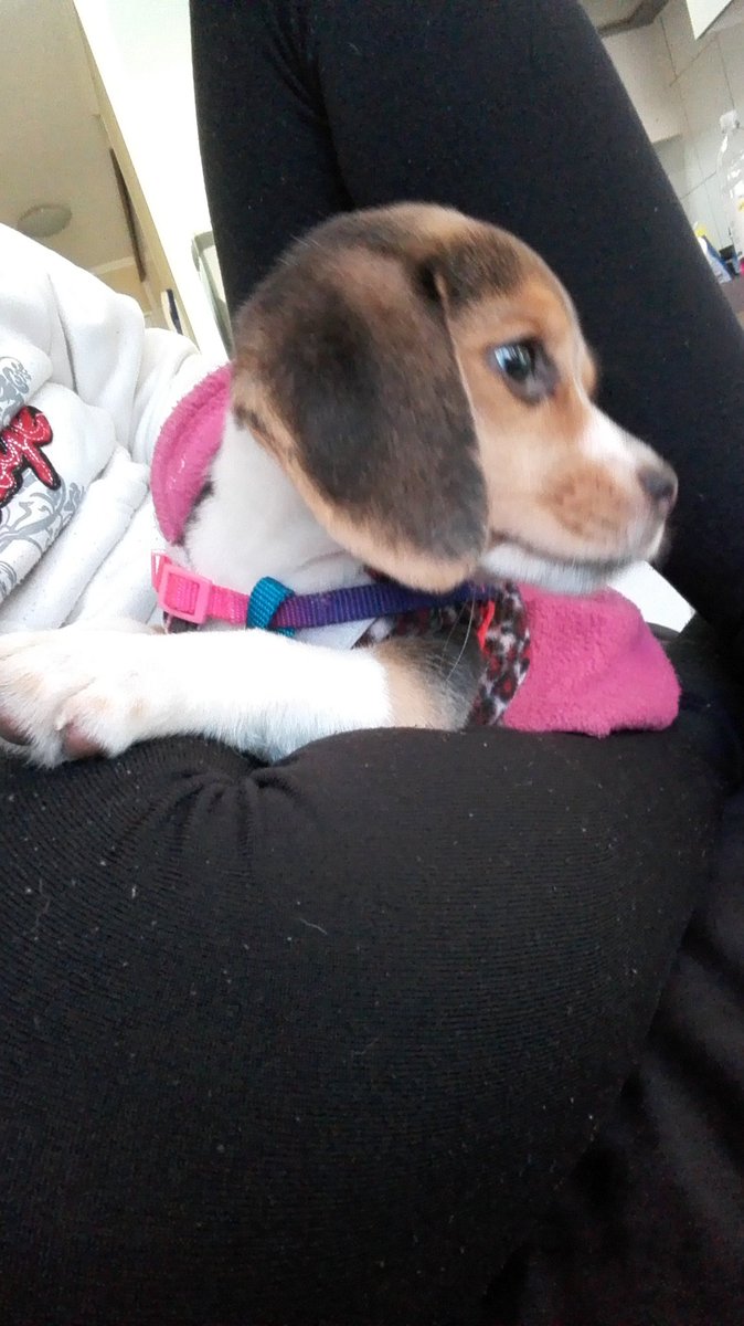 vbmejias's tweet image. #Akirah de Cumplemes