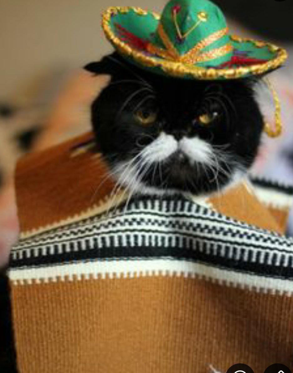 If u ordered NN002 already its shipped w/c31st. Meanwhile here's a sneak preview of @DenhamAudio_ new press shots. Which of the trio is it?