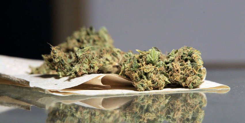 RevistaYerba's tweet photo. #Legalicemos la #marihuana https://t.co/lN0lzgA9mA Vía @elconfidencial https://t.co/1iRpDyXbqb