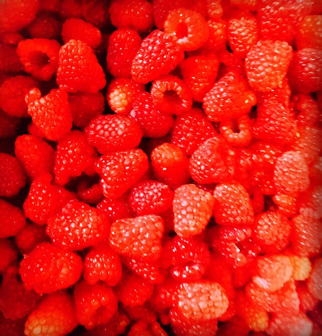 bethchristie__'s tweet photo. Raspberry picking! Outside, fun with my daughter and supporting local business #ateafew π#greenexercise #berries @thefoodlife__ @Bouvrage https://t.co/GV3p4jLBNI