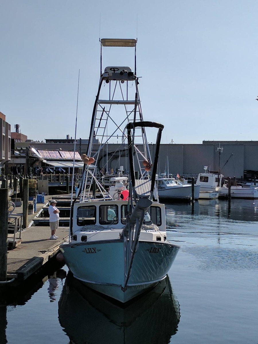 SchwEJ's tweet photo. 7/21/17 - F/V LILY | .@CaptFVLily @wickedspotter @Joey_C @STheken #GloucesterMA #Harpooning #StickBoat #Dart #WickedTuna https://t.co/CNnrYkWRev