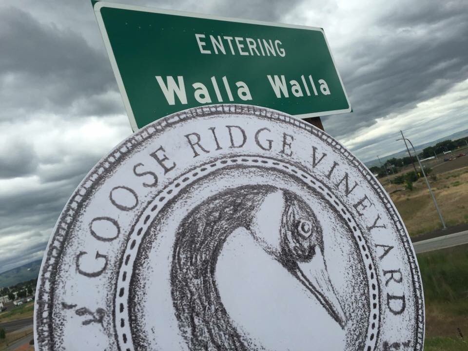 GooseRidgeWines's tweet photo. #wineclub event in @downtownww @WWValleyWine #offmain Stop in @GooseRidgeWines 4 details on participating wineries #wawine #wallawallawine https://t.co/BiTOV1iBOk
