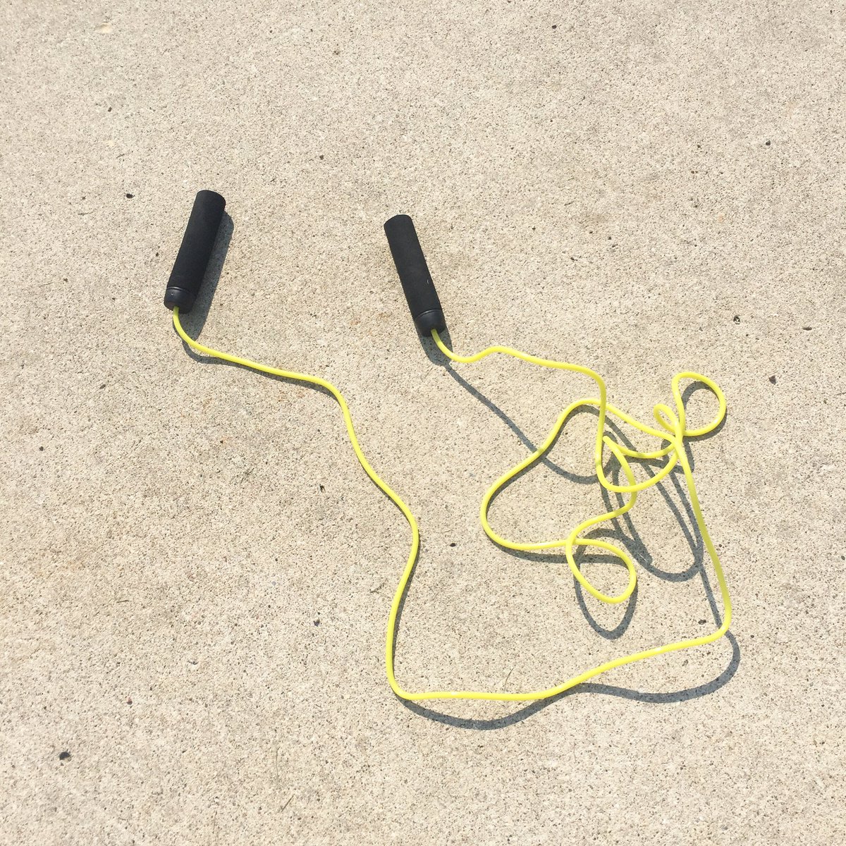 JessTryan's tweet photo. Added this little monster to the mix today. #jumprope #💪🏻 https://t.co/JZjxtXLFLt